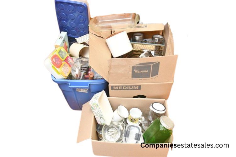 Boxes of Kitchen Items: Dishes, Containers, and Food Storage