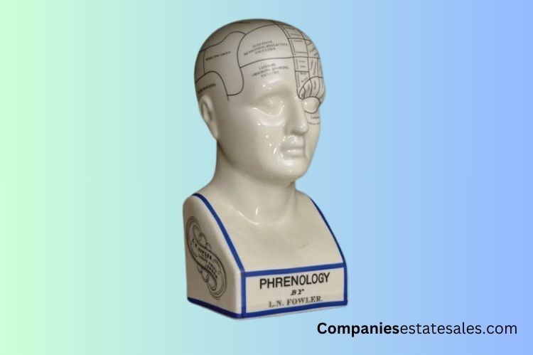 Phrenology Head