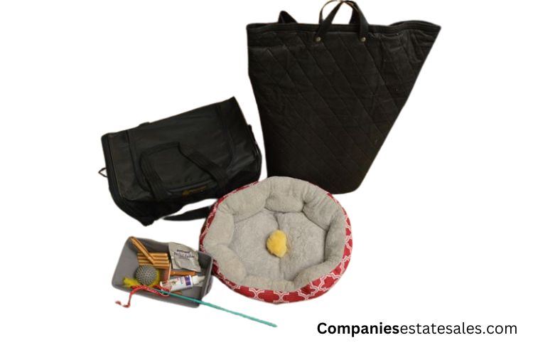 Group Lot Pet Carrier & Toys