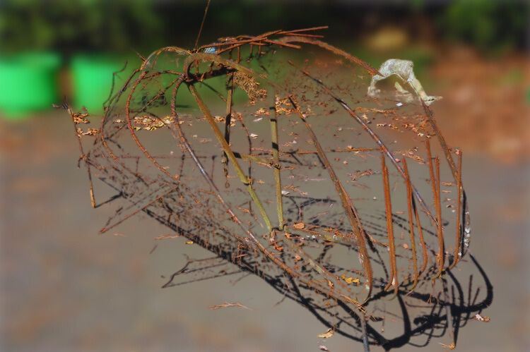 Wire Abstract Sea Creature Sculpture