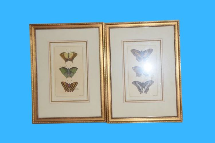 Two (2) Butterfly Wall Art