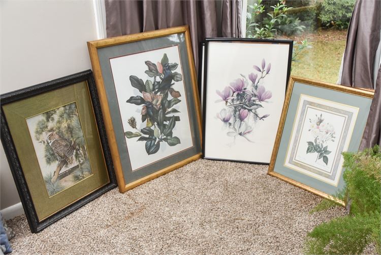 Framed Prints of Flowers and Bird