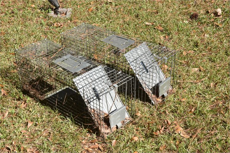 Two (2) Defenders Animal Trap Cage