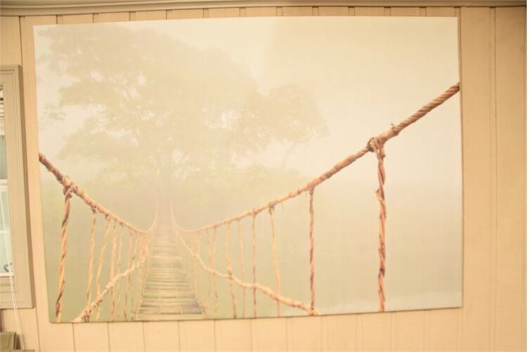 Framed Picture of Hanging Bridge