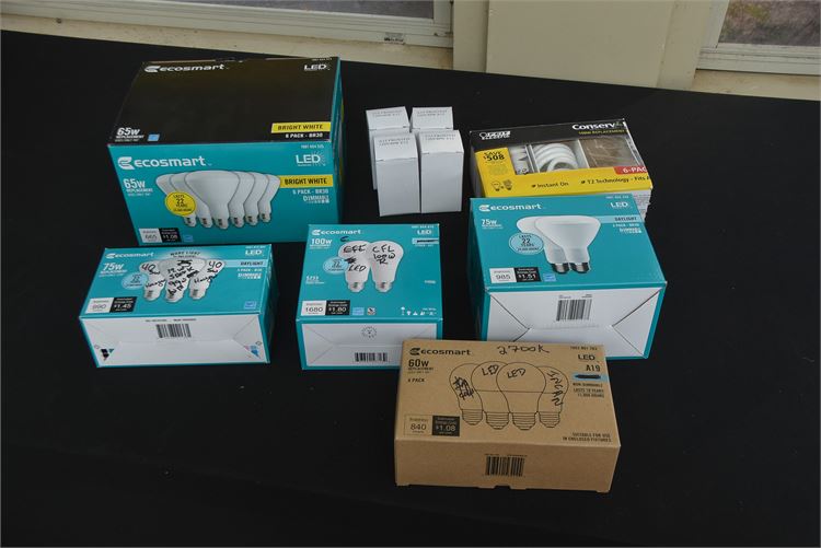 LED Light Bulbs