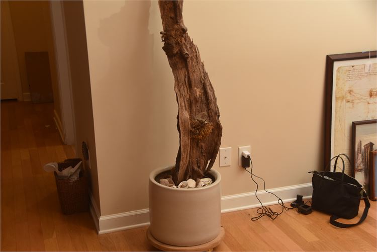 Driftwood Cemented in Pot