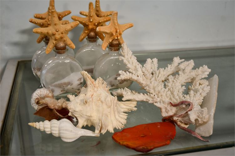 $25 Seashells, Starfish, Coral, and Small Glass Bottles Filled with Sand