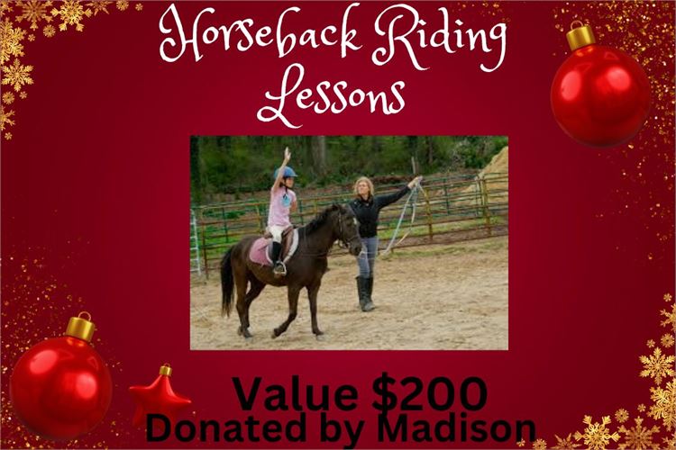 Horseback Riding Lessons Lareau Dressage